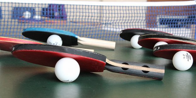 colección palas de ping pong