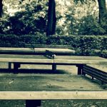 mesas de ping pong en parque público