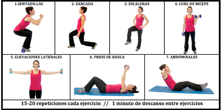 circuito